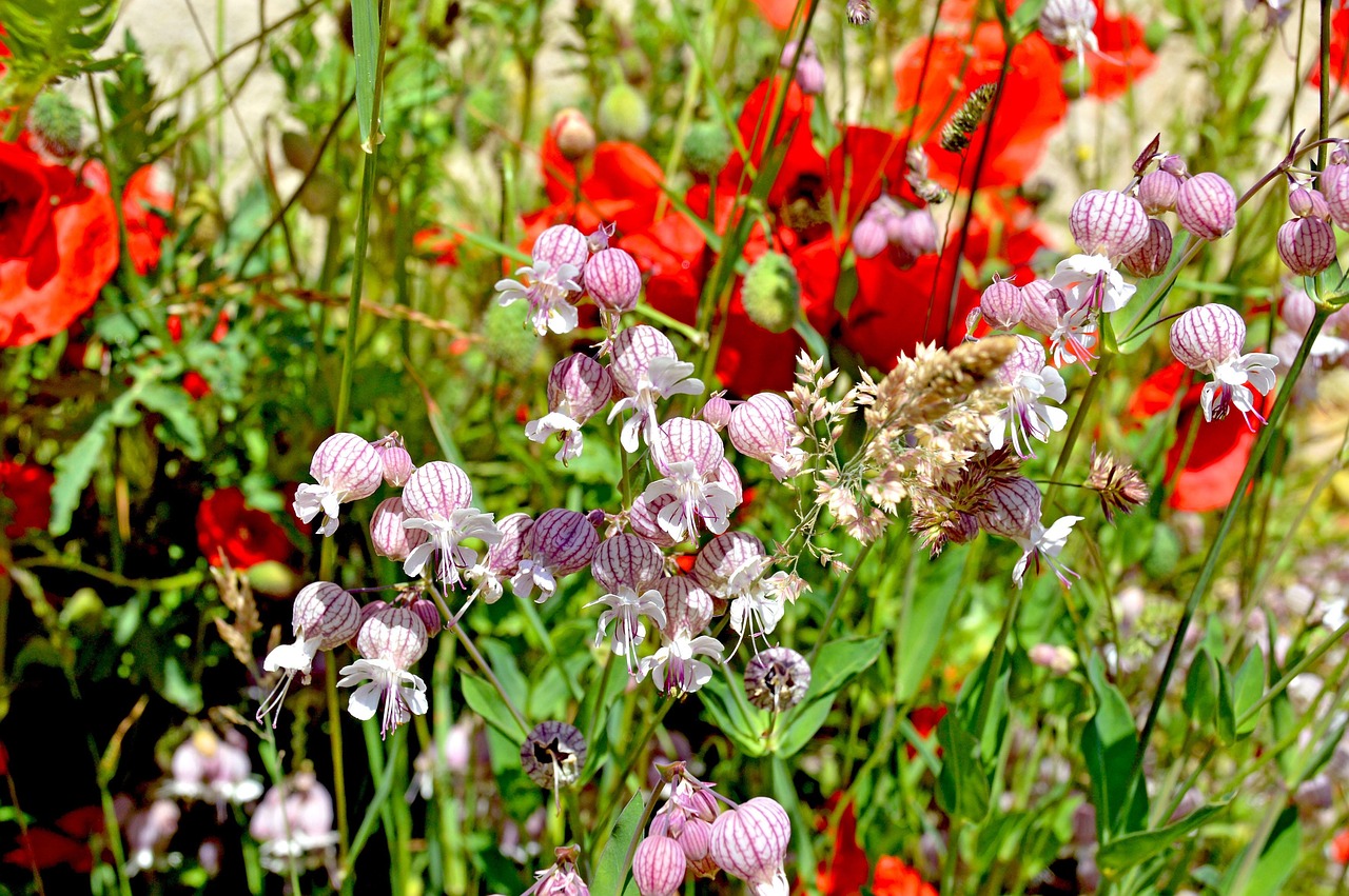 Die Tradition der Blumen zur Premiere